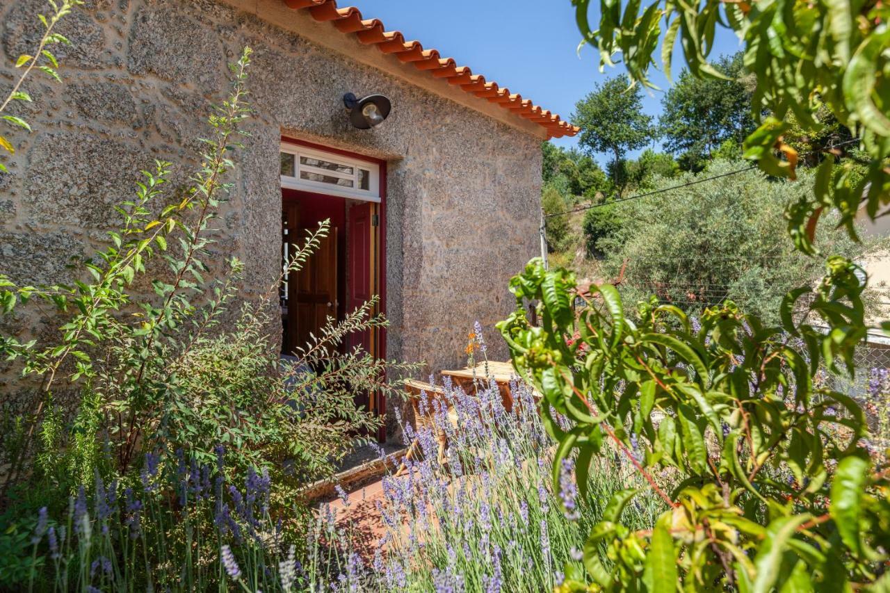 Casa Do Eido - Sustainable Living & Nature Experiences 吉尔斯 外观 照片